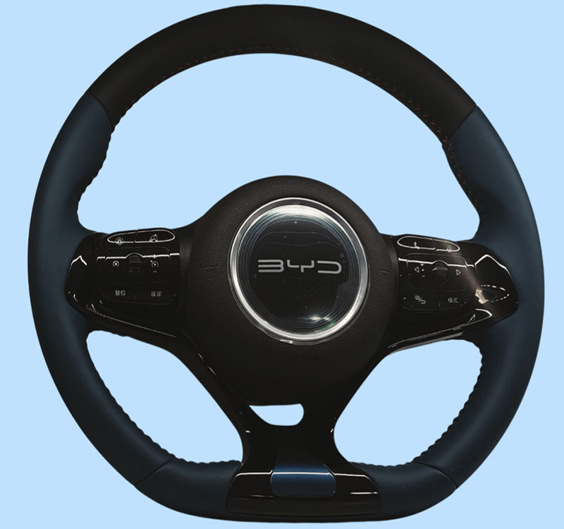 BYD 海鷗、海豚 E2（HOD）